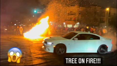 HELLCAT DOES DONUTS AROUND BURNING CHRISTMAS TREE!! + SPECTATOR GETS SMACKED!!