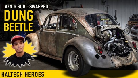 🏅 The Dung Beetle Reincarnated | HALTECH HEROES