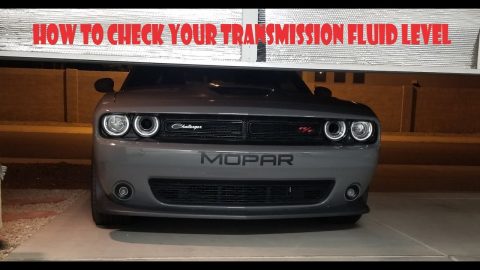 2019 Dodge Challenger 1320 (How to check the Transmission Fluid)