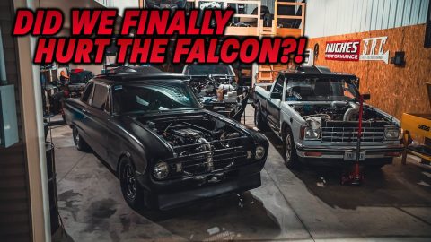 Did we finally hurt The Falcon?! Preparing for WAR IN THE WOODS!