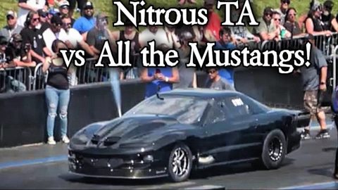 Nitrous Trans Am vs All the Mustangs!!