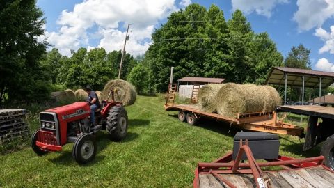 When you really need another Loader Tractor but still get the job done! Hauling Hay