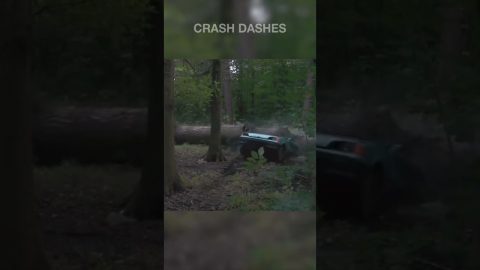 crash in the wood #shorts
