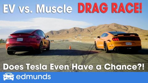 Drag Race! Tesla Model Y vs. Shelby GT500 | EV vs. Muscle | 0-60 Performance & More