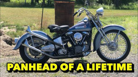 Panhead Find of a lifetime!