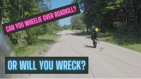 Can You Wheelie Over Roadkill?