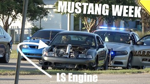 DONT bring your LS powered Mustang to MUSTANG WEEK!!!!