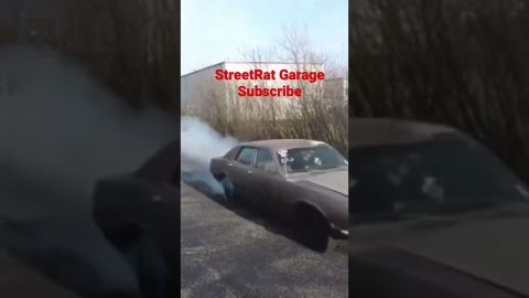 Goose from roadkill            Subscribe  to StreetRat Garage on YouTube
