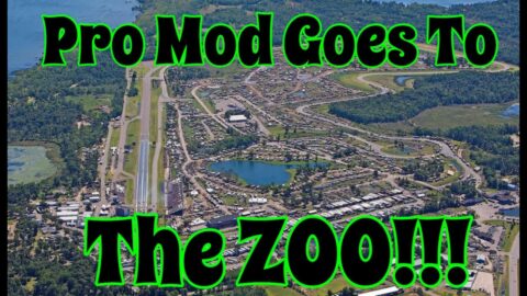 WE ARE GOING TO THE ZOO!!! PARODY OF NHRA KEEPING PRO MOD DRIVERS OUT OF THE ZOO IN BRAINERD MINN!!
