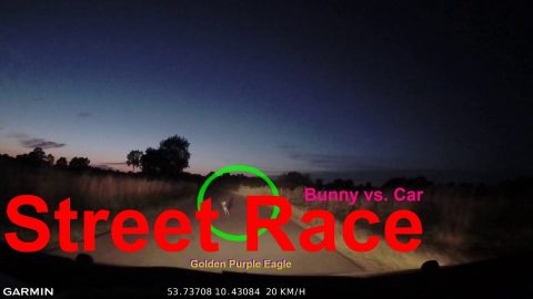 🐇💨 vs. 🚗💨 Street Race [Bunny vs. Car] Forcing opponent off the track | Wildlife Dashcam