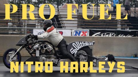 BEST PRO FUEL NITRO HARLEY DRAG BIKE RACERS BATTLE FOR POSITION MAN CUP QUALIFYING! WILD MOTORCYCLES