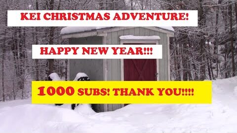 GOOD BY 2021, HAPPY NEW YEAR, & 1000 SUBS!