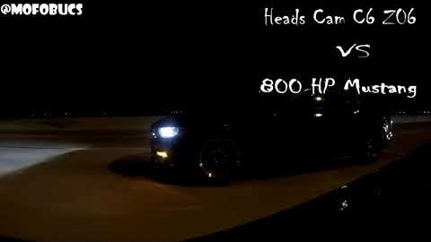 C6 Corvette ZO6 vs  800 HP Mustang #shorts #1320video #mustang #corvette @1320video