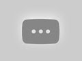 NHRA Wild Rides - Nitro Drag Racing @customZon1 #customZon1 #Bestvideo #Shorts #video #trends