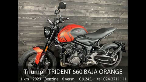 Triumph TRIDENT 660 BAJA ORANGE