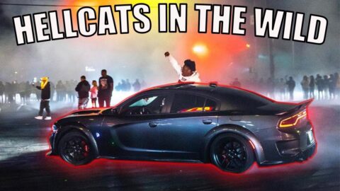 WILD HELLCAT TERRORIZES STREET TAKEOVER IN SOUTH L.A AREA🔥 #burnouts