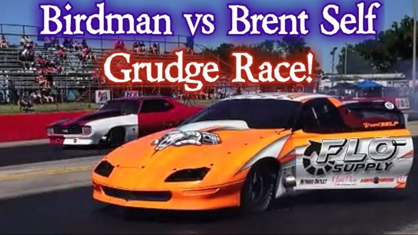 Birdman vs Brent Self Grudge Race!